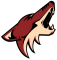 Arizona Coyotes